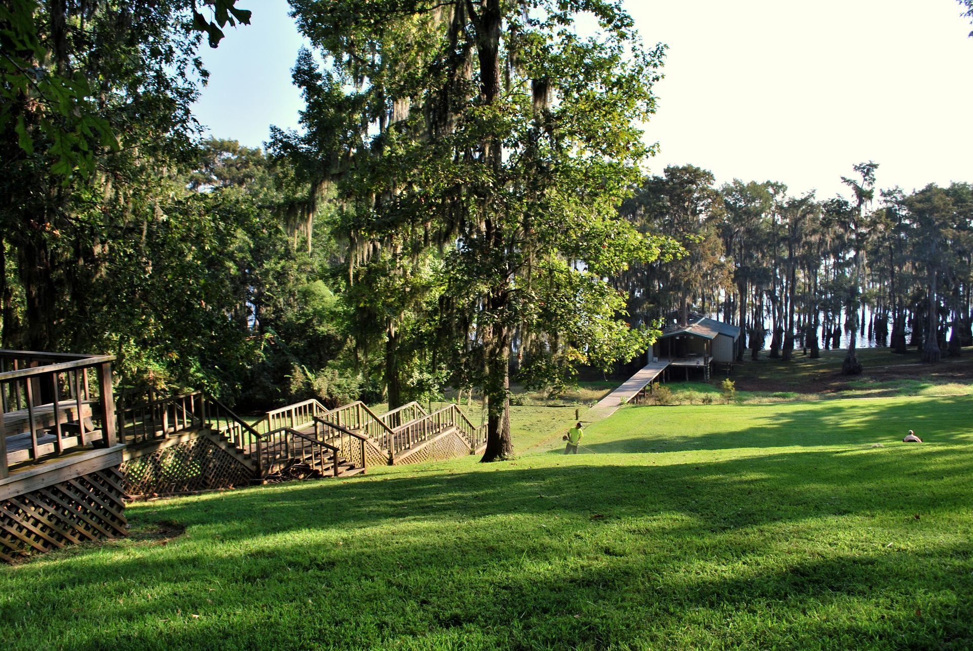 Sunny park with green lawn, trees, and a wooden boardwalk along a grassy slope.