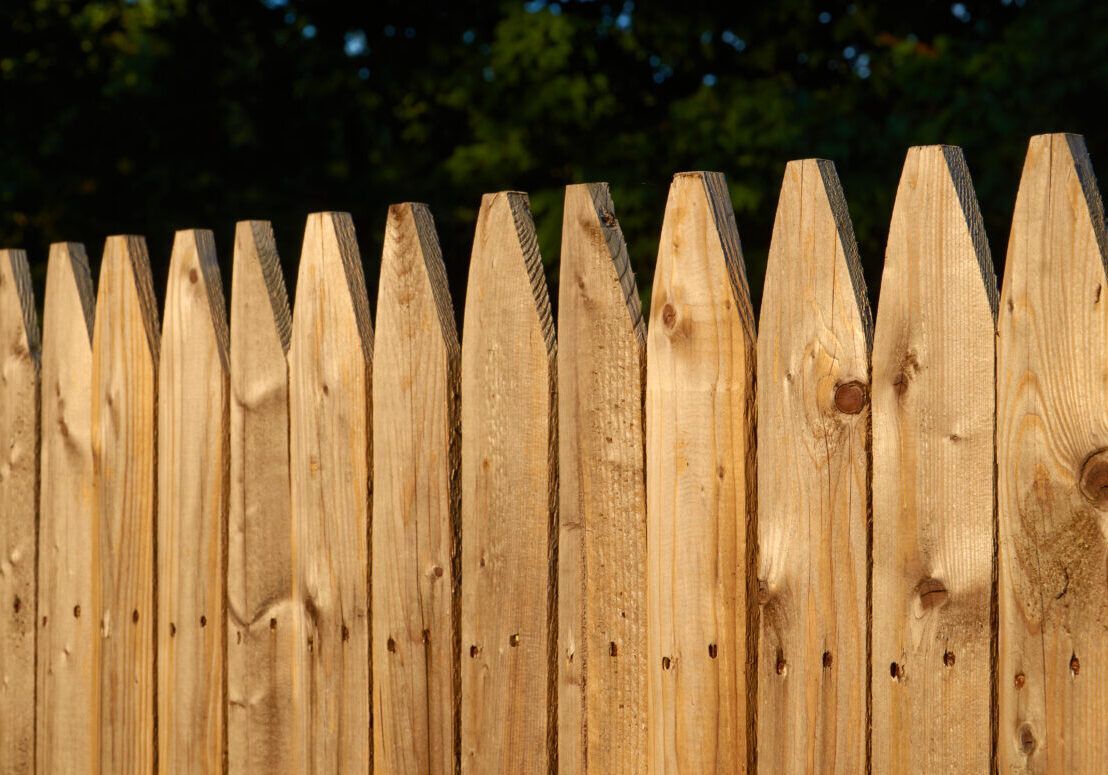 Wooden picket fence with pointed tops in front of a blurred green background