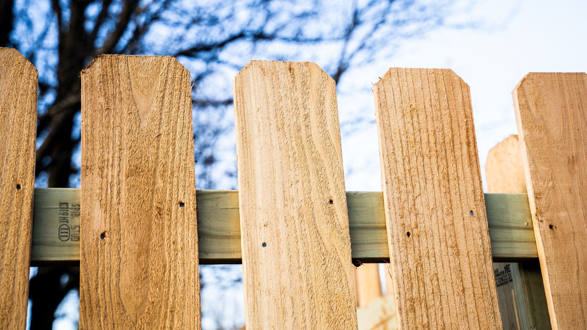 Wooden fence slats against a blue sky with bare tree branches in the background