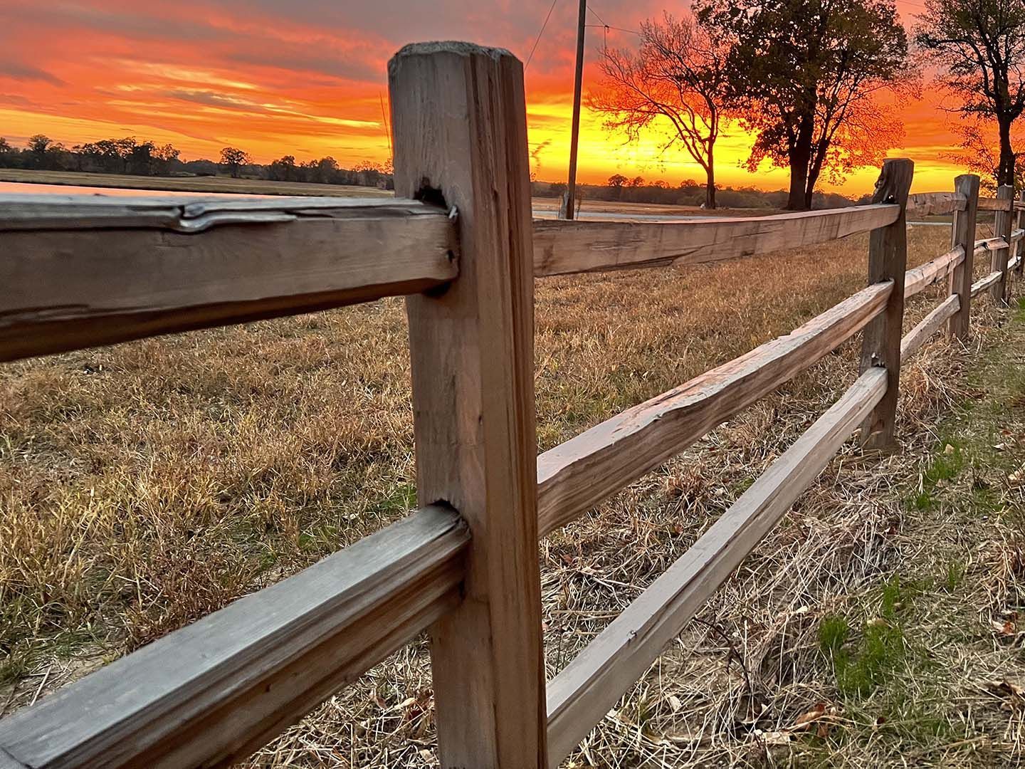 Wooden fence along a grassy field at sunset, with orange sky and bare trees in the distance