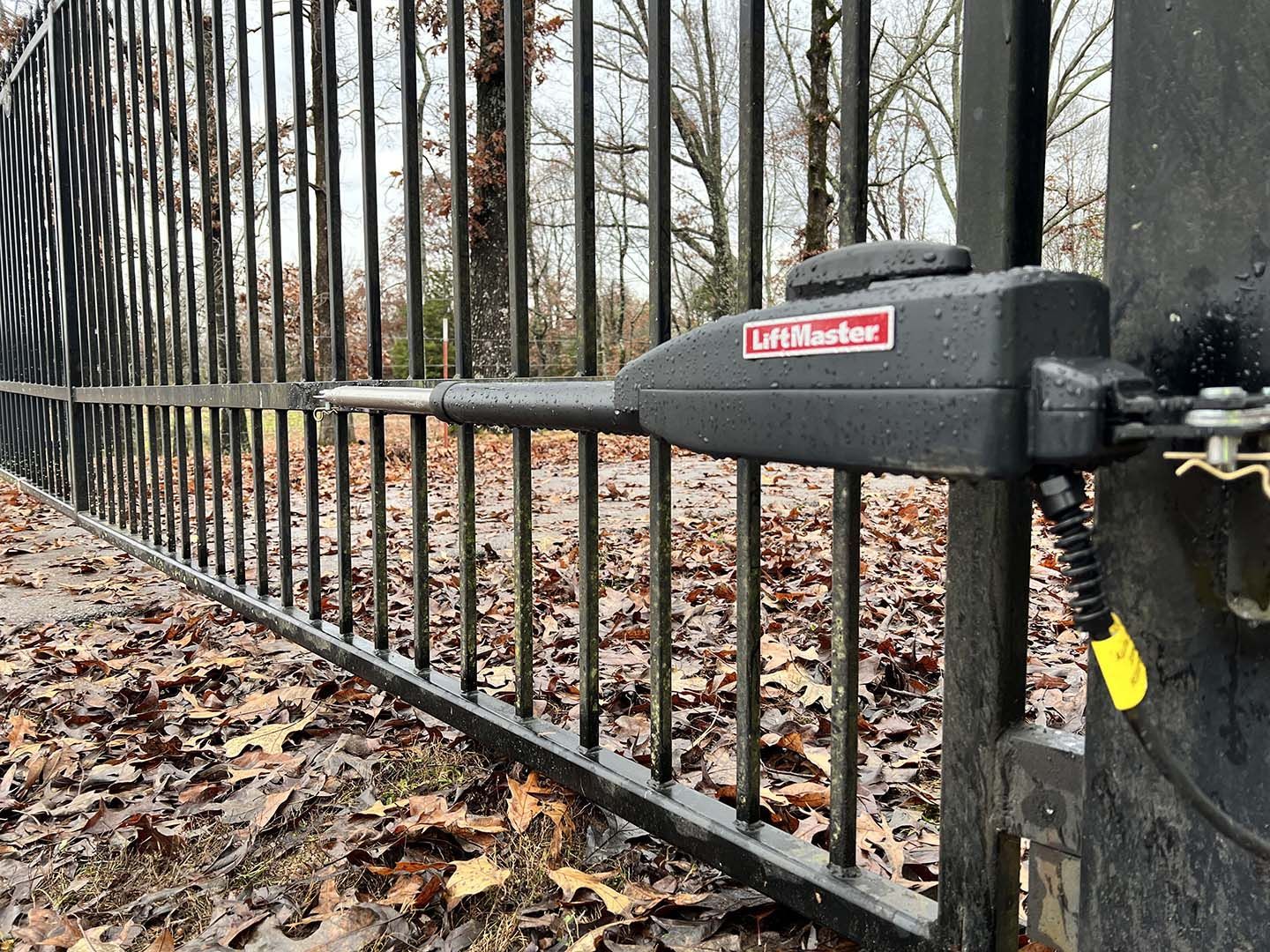 Black gate latch on a wrought-iron fence over a leaf-covered path in a wooded area