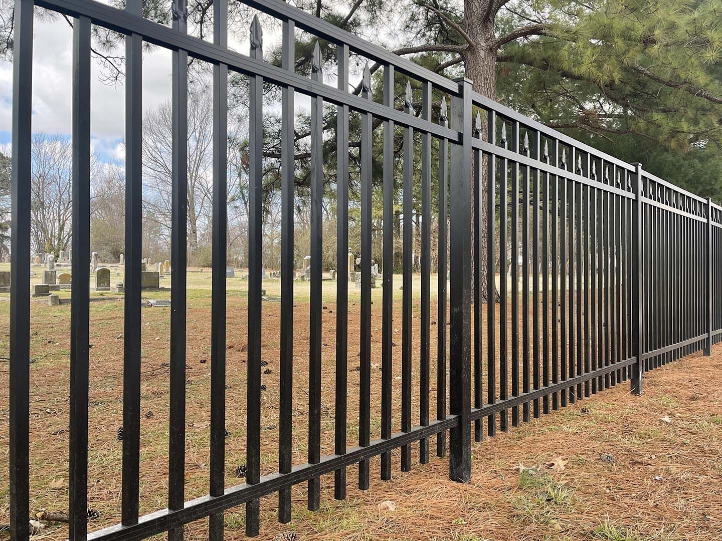 Black metal fence along a park with bare trees and grass in the background