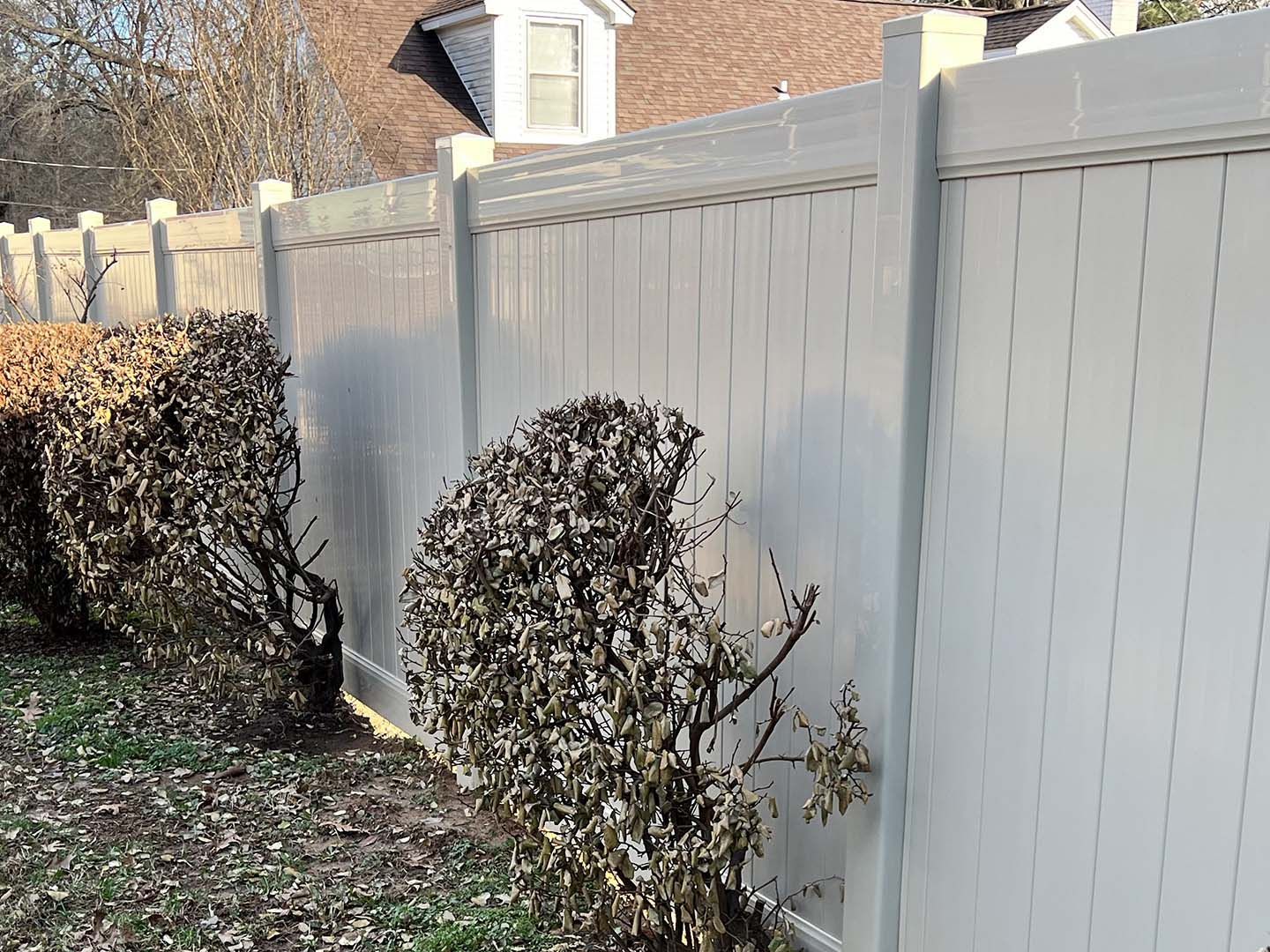 White vinyl privacy fence beside trimmed shrubs in a suburban yard.