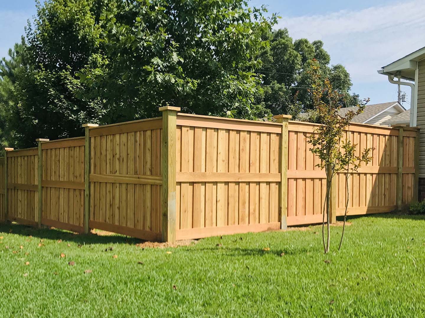 Wooden privacy fence enclosing a grassy yard with trees and a small sapling outdoors