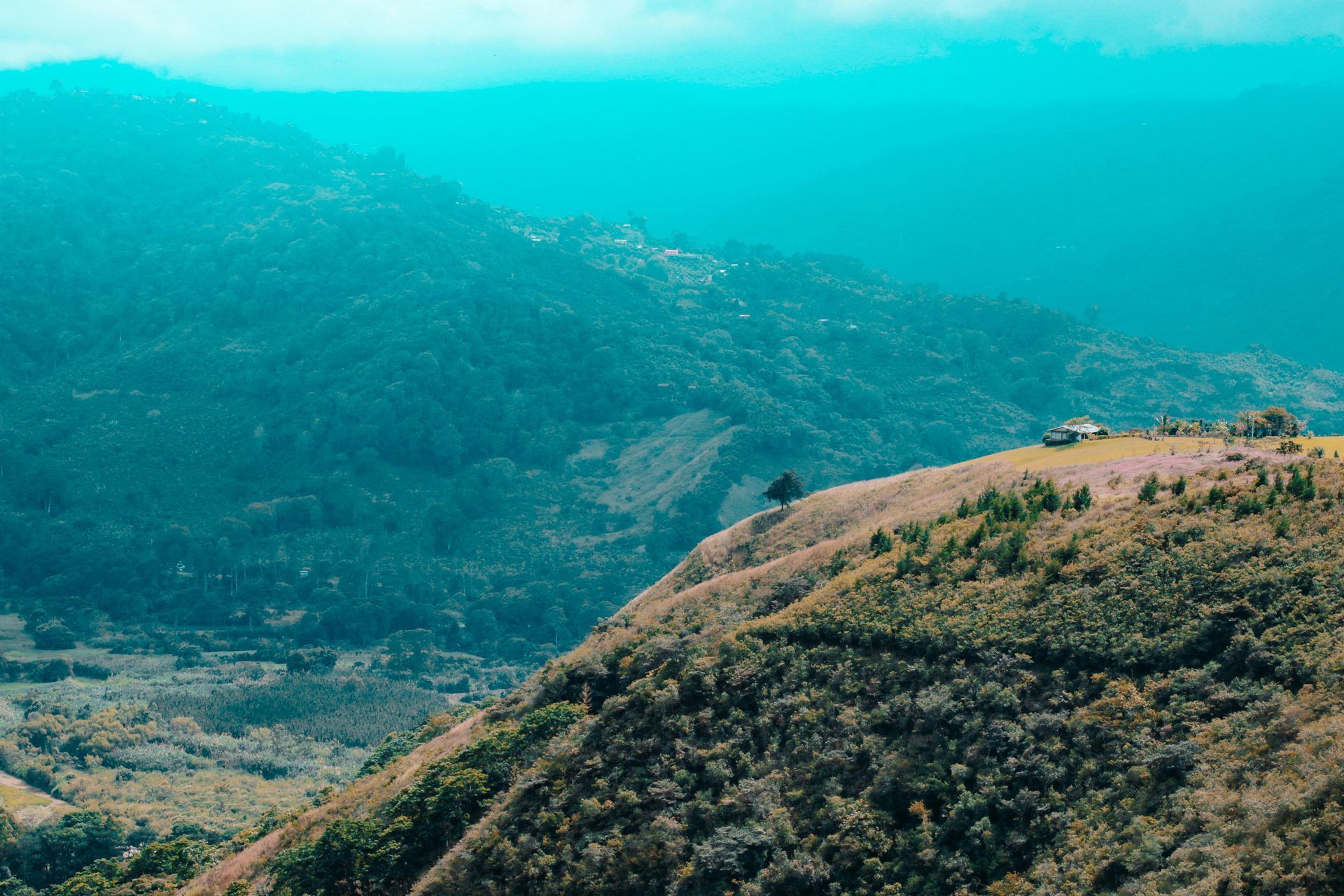 Rolling green mountain range under a hazy blue sky.