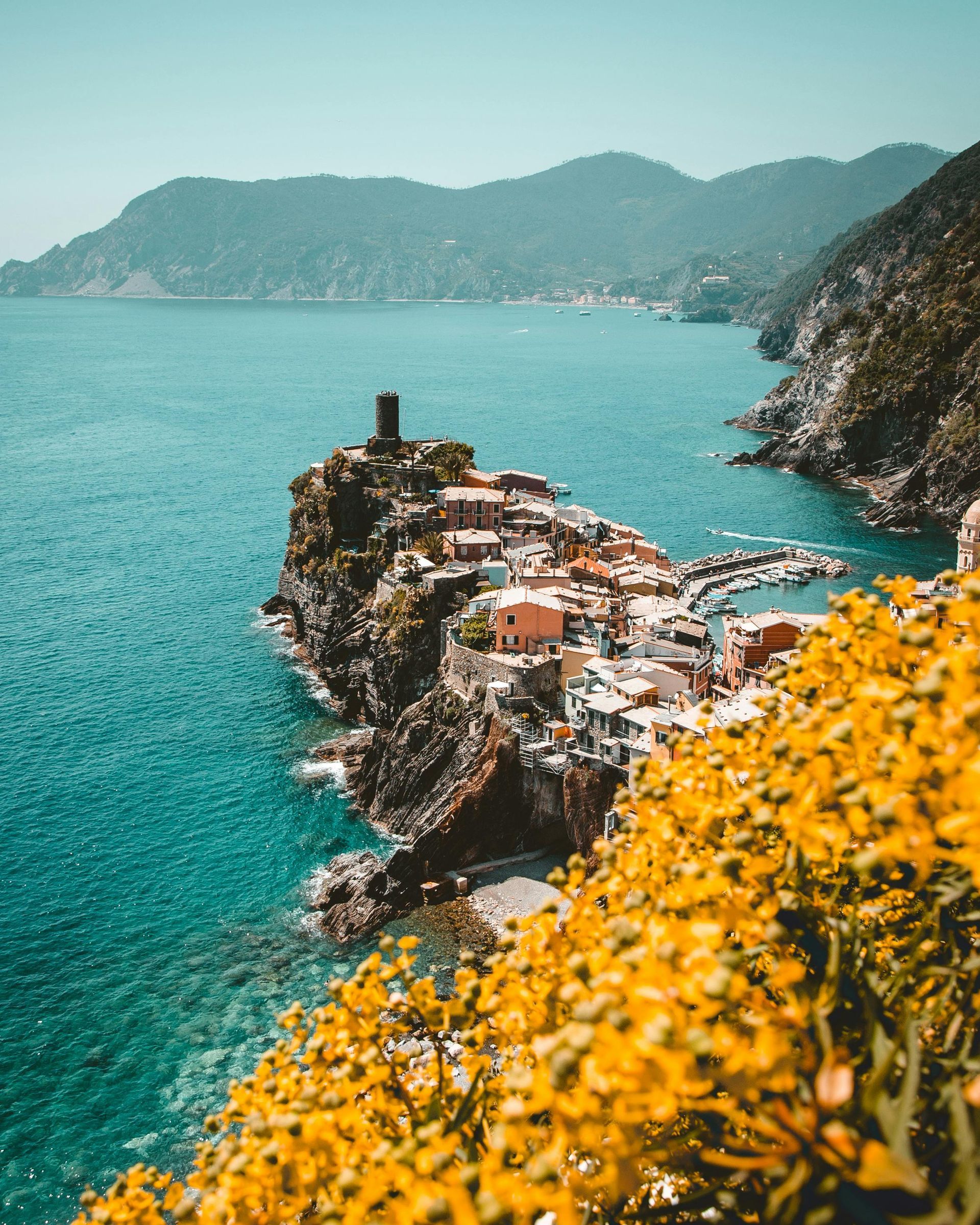 Coastal village perched on a rocky outcropping; turquoise water, mountains, yellow flowers in foreground.