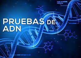 Laboratorio Genomelab
