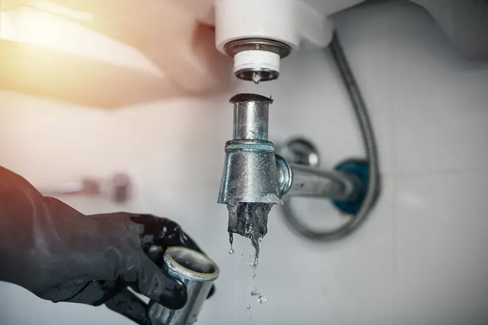 Water leak detection and plumbing repair in Berkeley California