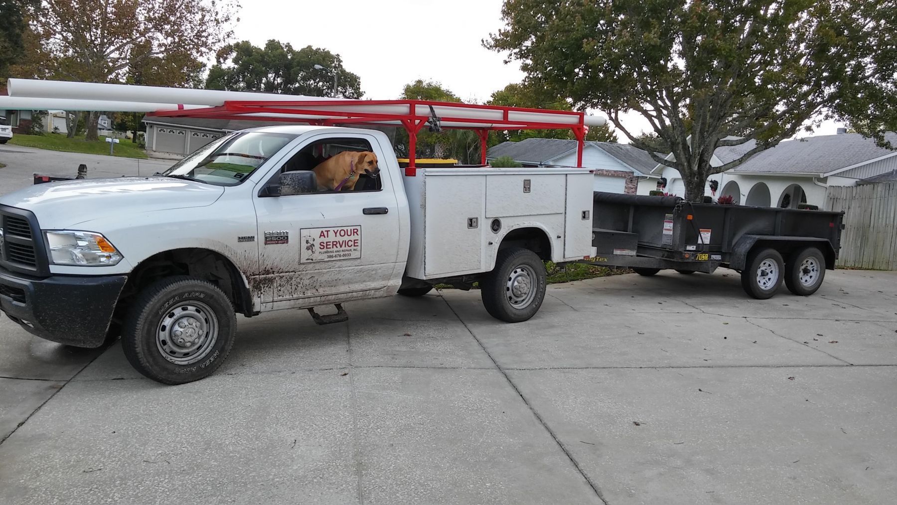 White work truck with red rack, towing a trailer. Dog in driver's seat. Parked on concrete, sunny day.