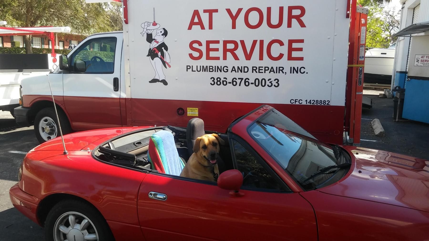 Dog in red convertible car, parked near a plumbing service truck with