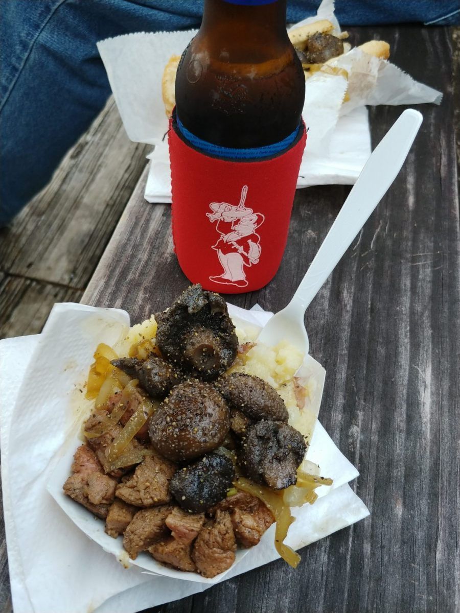 Plate of cooked meat, onions, and beer bottle in a red koozie on a wooden picnic table.