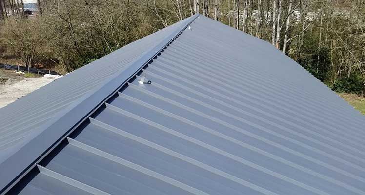A close up of a black metal roof with trees in the background taken by Riverside Roofing