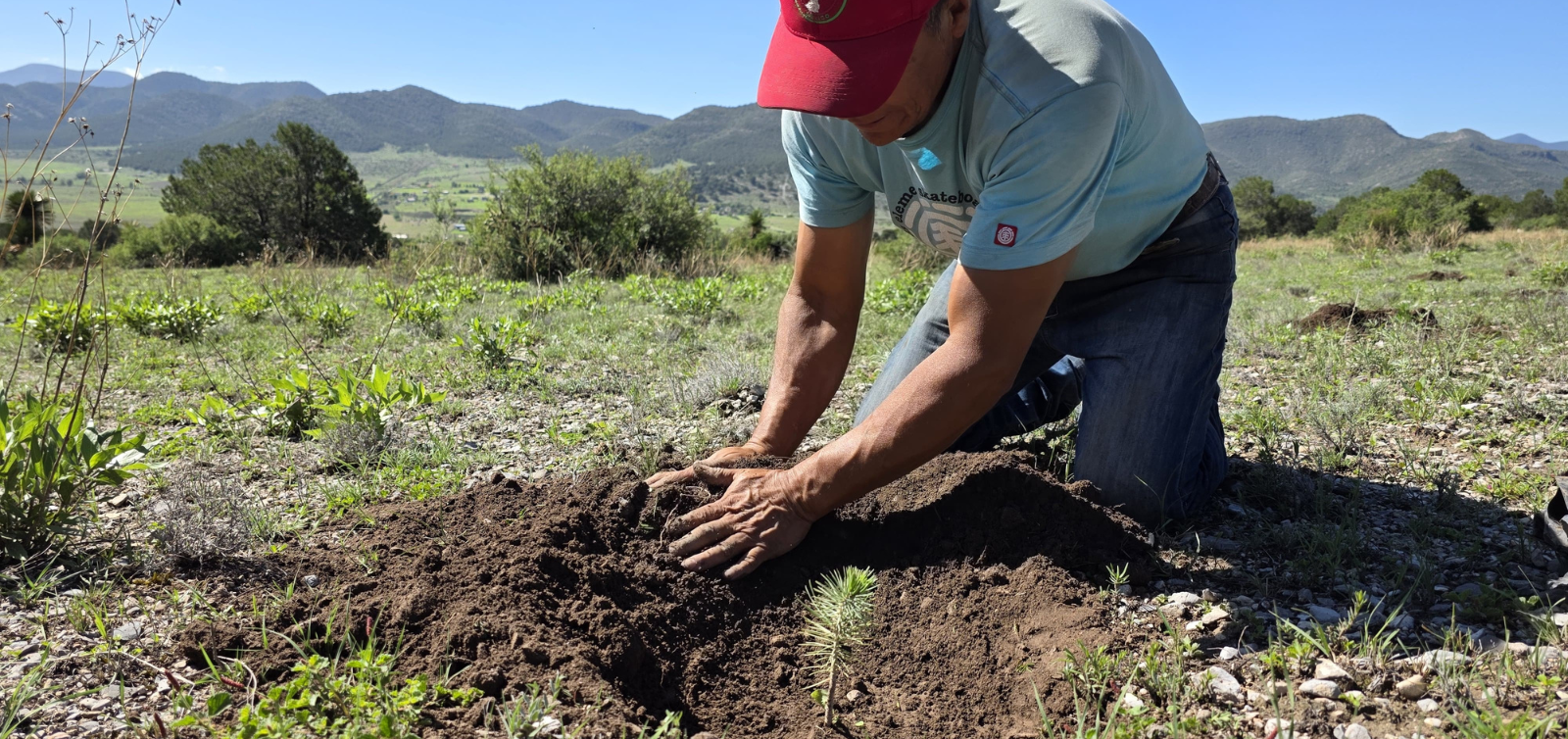 Una persona planta tierra en un campo con montañas al fondo.