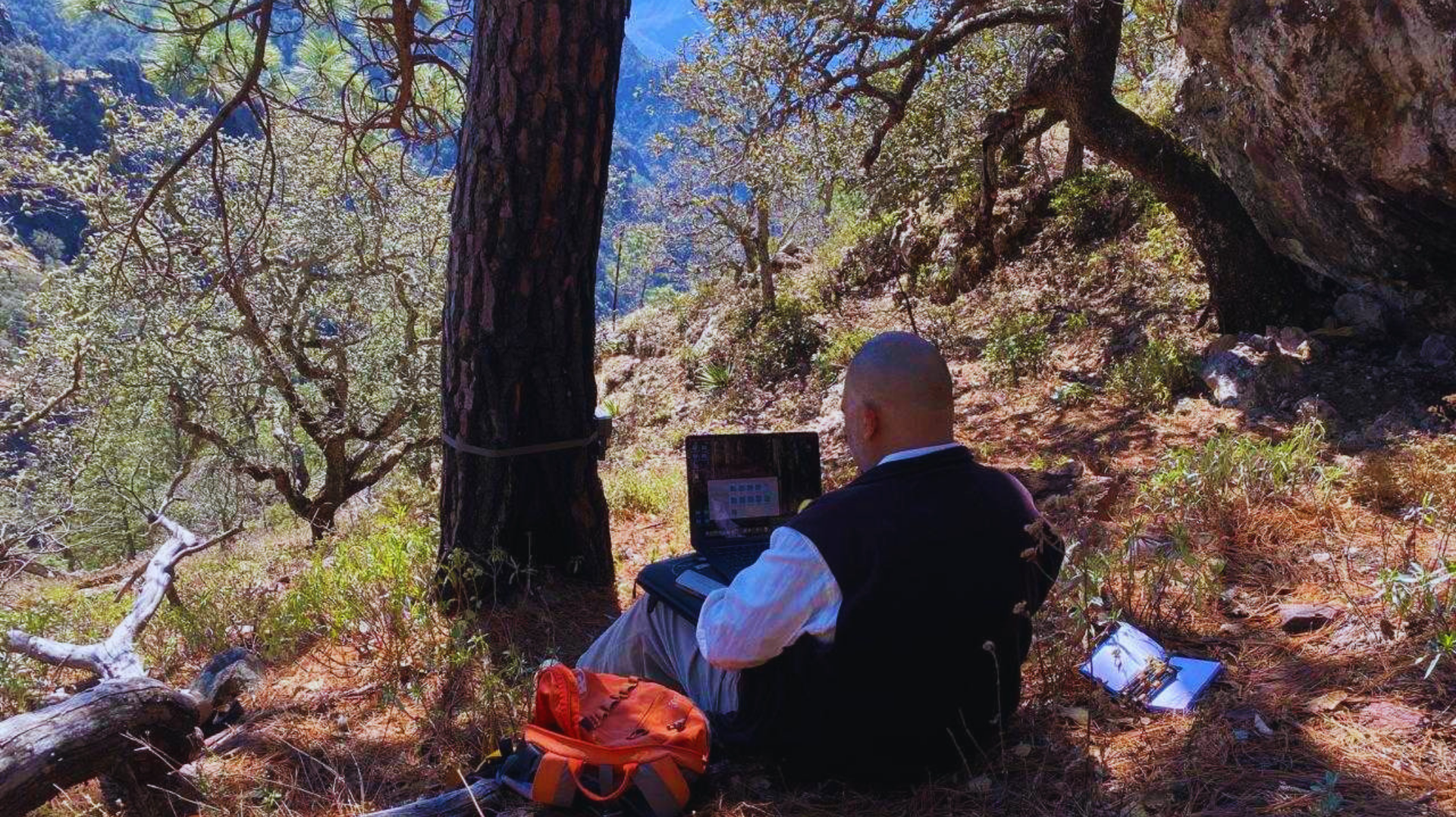 Persona sentada al aire libre en un bosque, usando una computadora portátil junto a un árbol y una mochila.