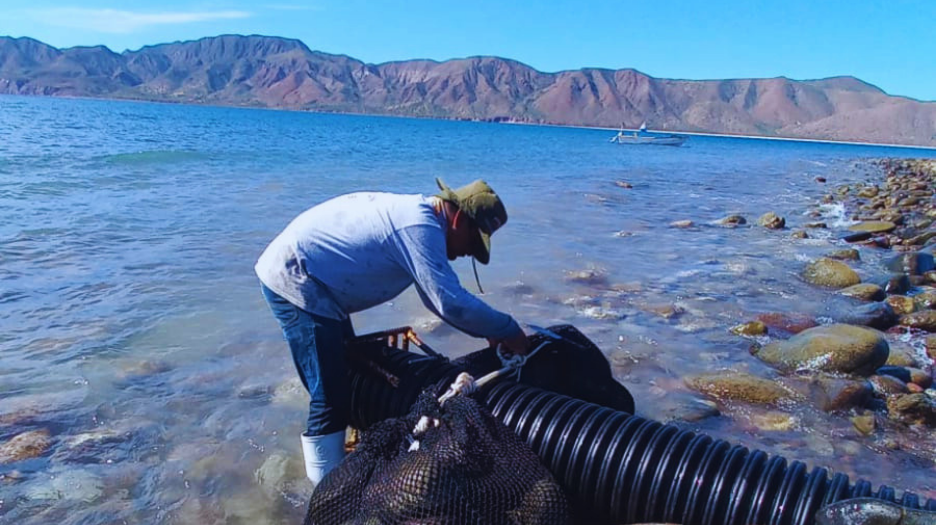 Persona trabajando a la orilla de un lago, manipulando una gran tubería corrugada negra cerca de aguas cristalinas