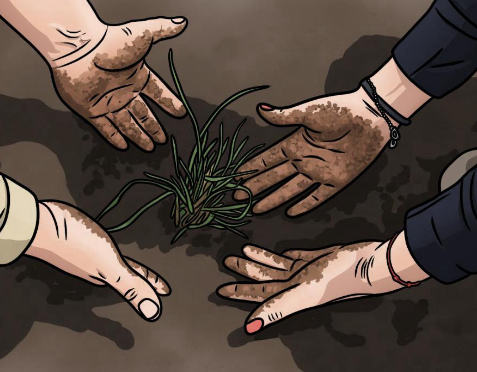 Varias manos plantan una pequeña plántula verde en tierra oscura al aire libre.