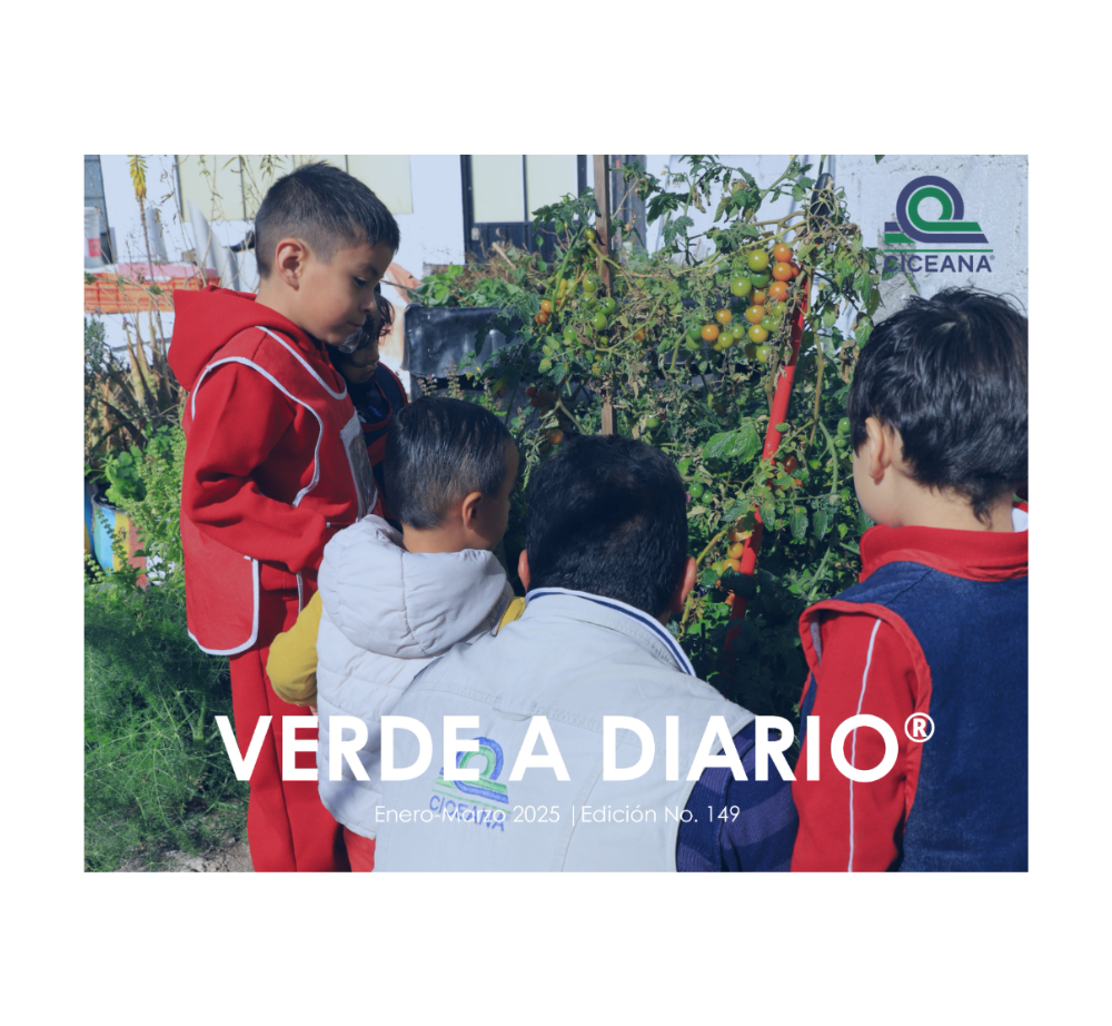 Niños con chaquetas rojas observan un huerto con tomates y plantas.