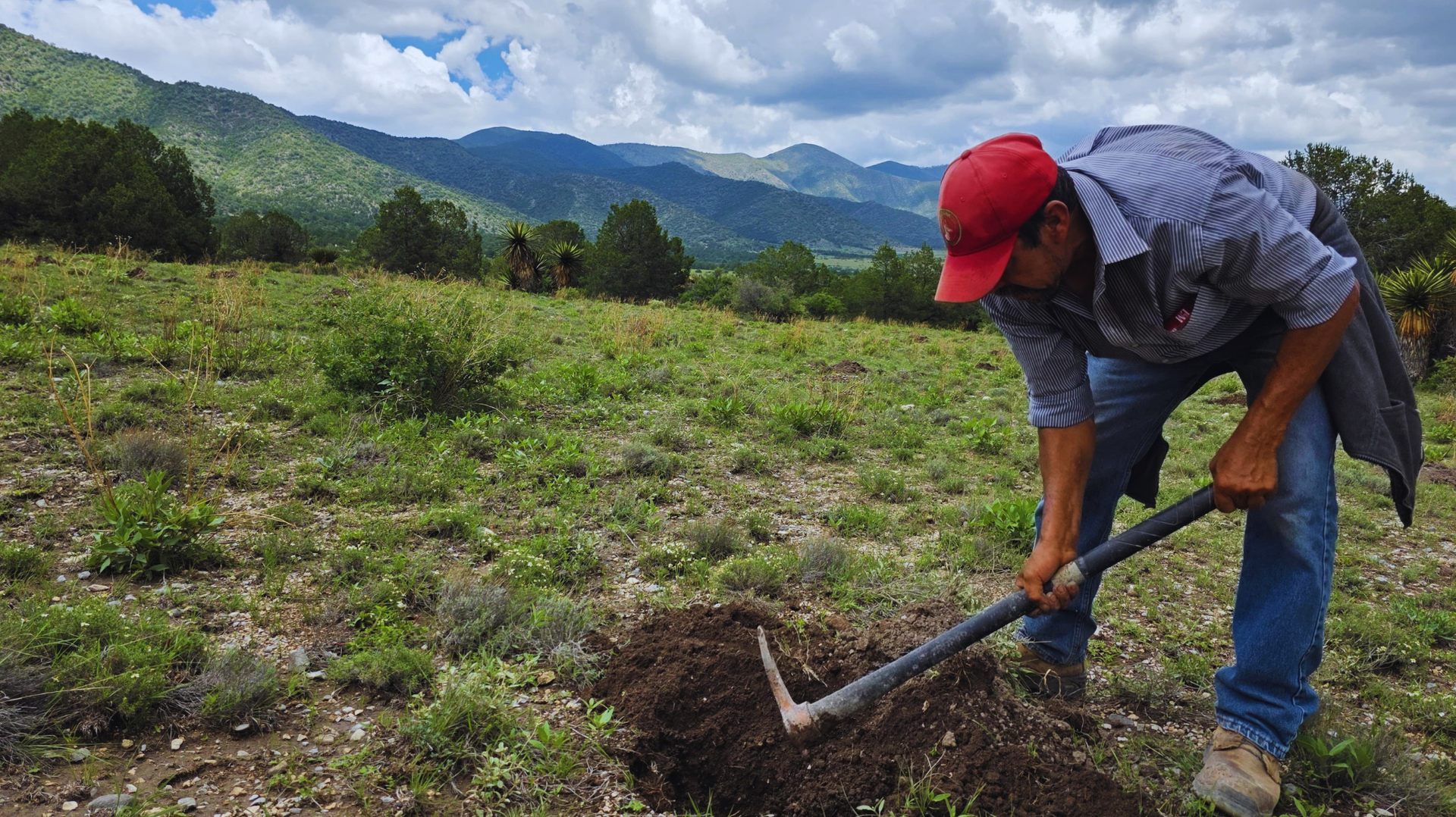 Un campesino con gorro rojo cava la tierra en un campo verde con montañas al fondo.
