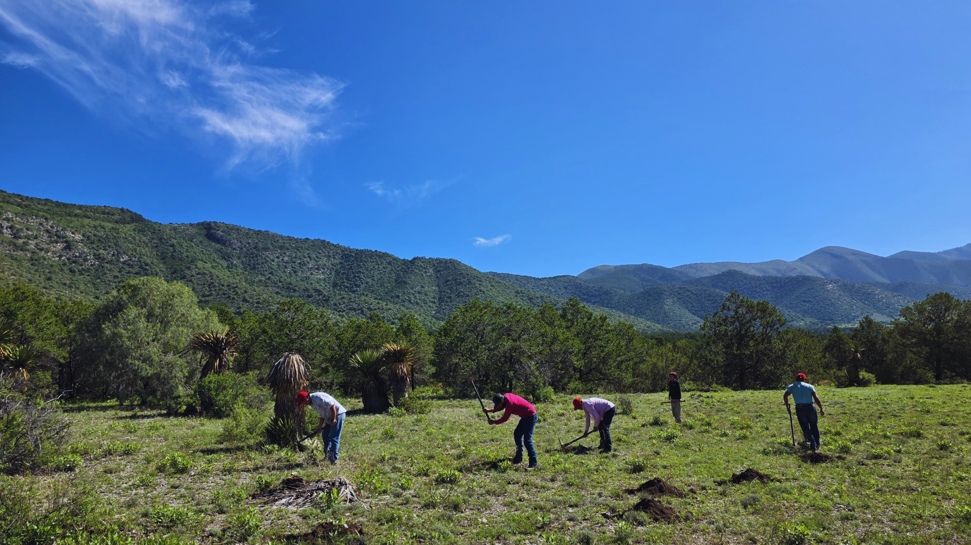 Gente trabajando en un campo verde con montañas y un cielo azul al fondo.