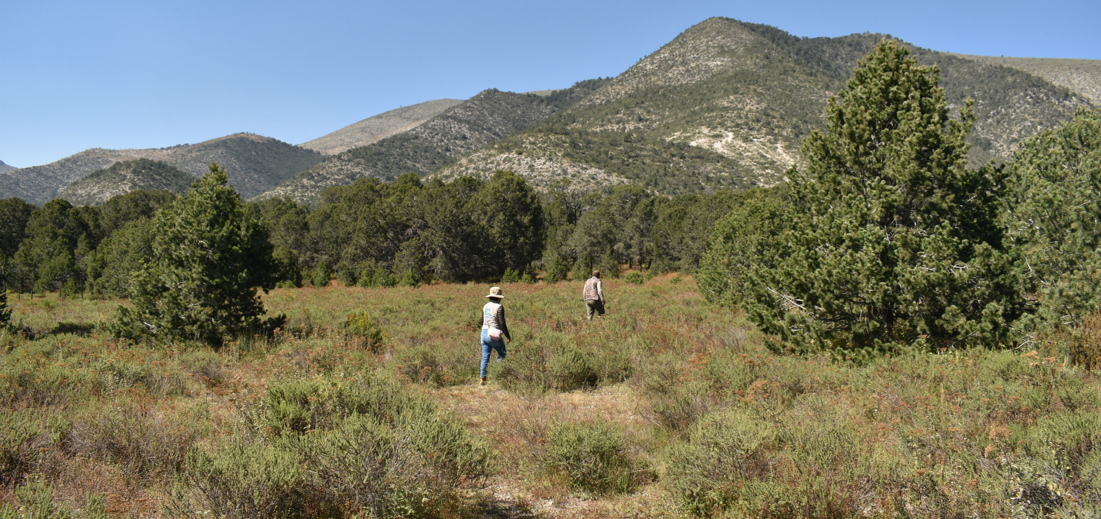 Senderistas caminando por una pradera hacia las faldas de la montaña bajo un cielo azul despejado.