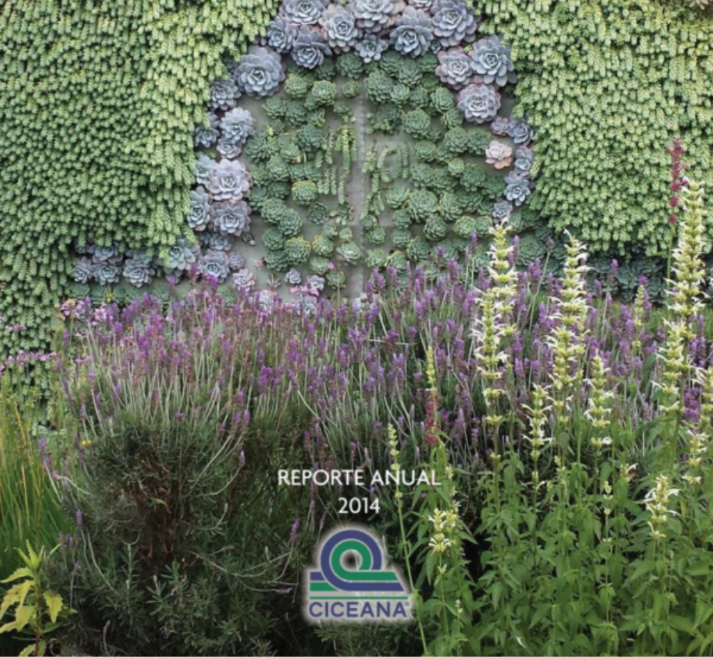 Green wall with a stone arch