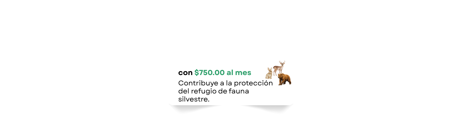 Logotipo pequeño centrado con texto y un animal de dibujos animados marrón sobre fondo blanco.