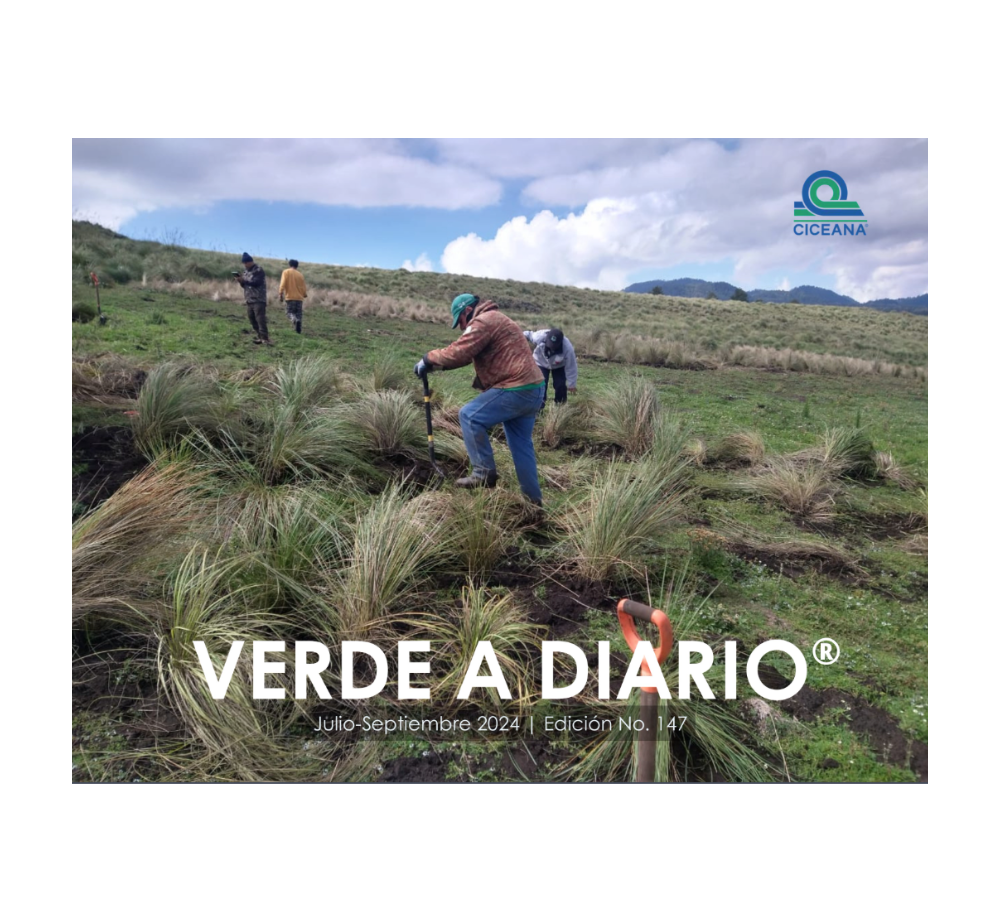 Dos trabajadores limpiando la hierba en un campo rural bajo un cielo azul, con el texto “VERDE A DIARIO” superpuesto.
