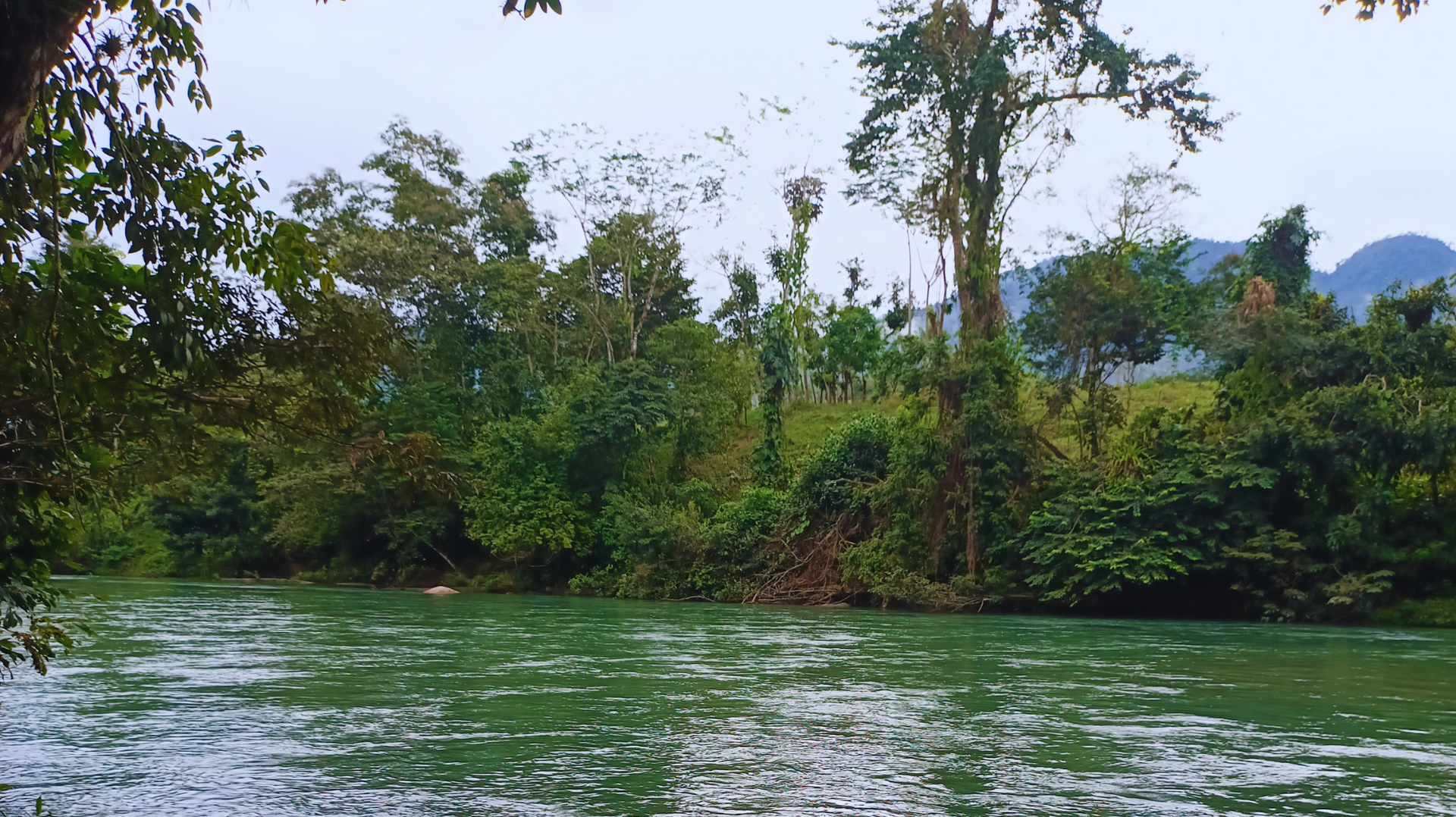Río tranquilo con árboles verdes a lo largo de la orilla bajo un cielo nublado.