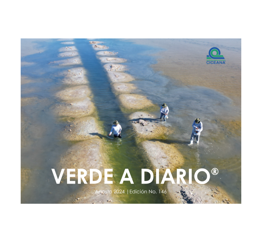 Trabajadores con trajes blancos de pie en las salinas junto al texto “VERDE A DIARIO”