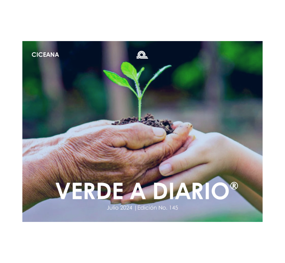 Manos y la mano de un niño sosteniendo tierra con un pequeño brote verde; texto “VERDE A DIARIO” sobre un fondo borroso.