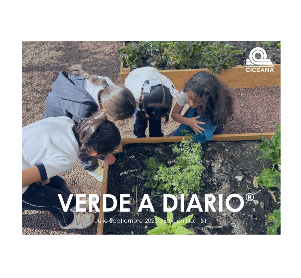 Niños trabajando en un huerto, mirando las plantas verdes, con el texto “VERDE A DIARIO” superpuesto.