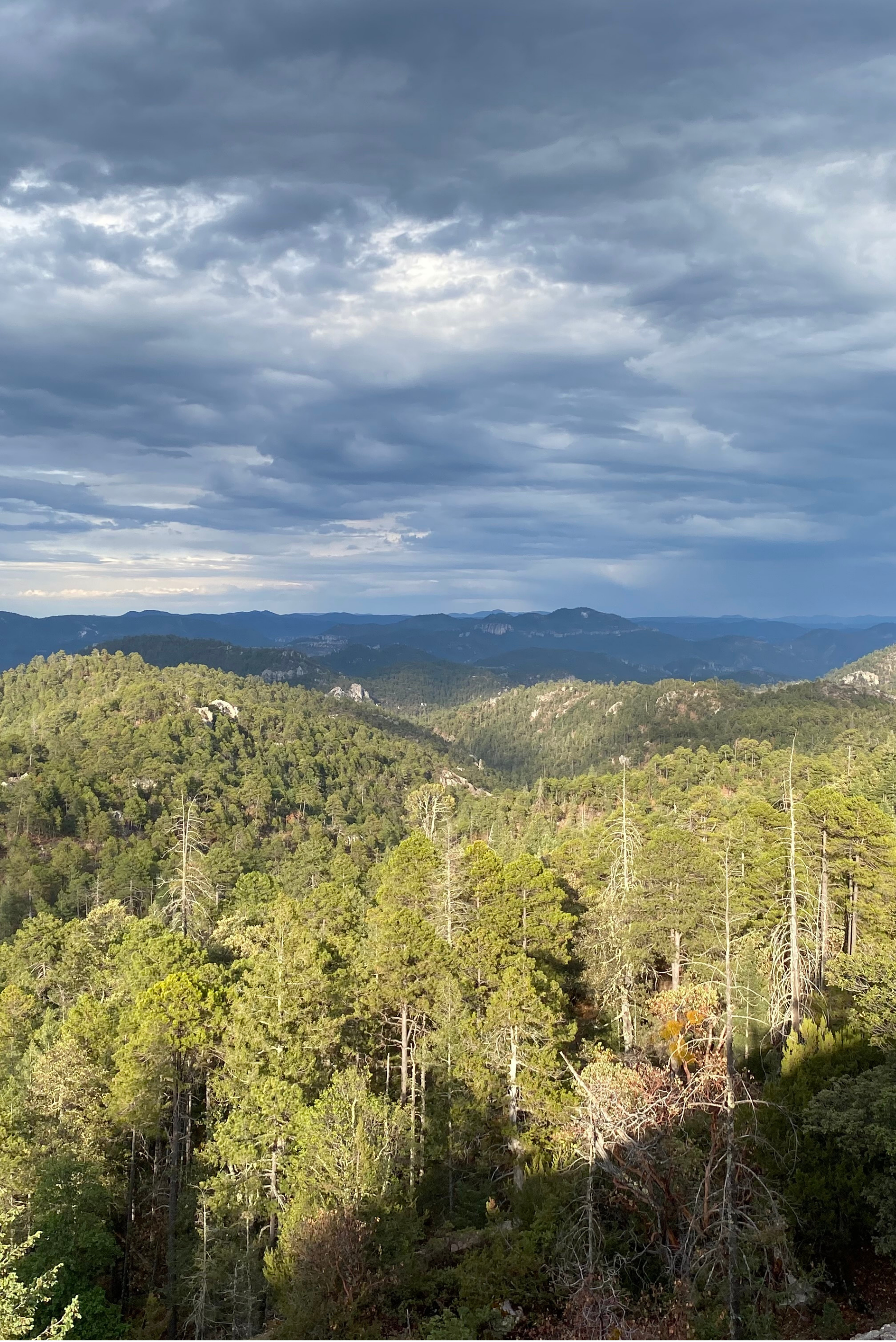 Montañas cubiertas de bosques bajo un cielo nublado con rayos de sol en las colinas.