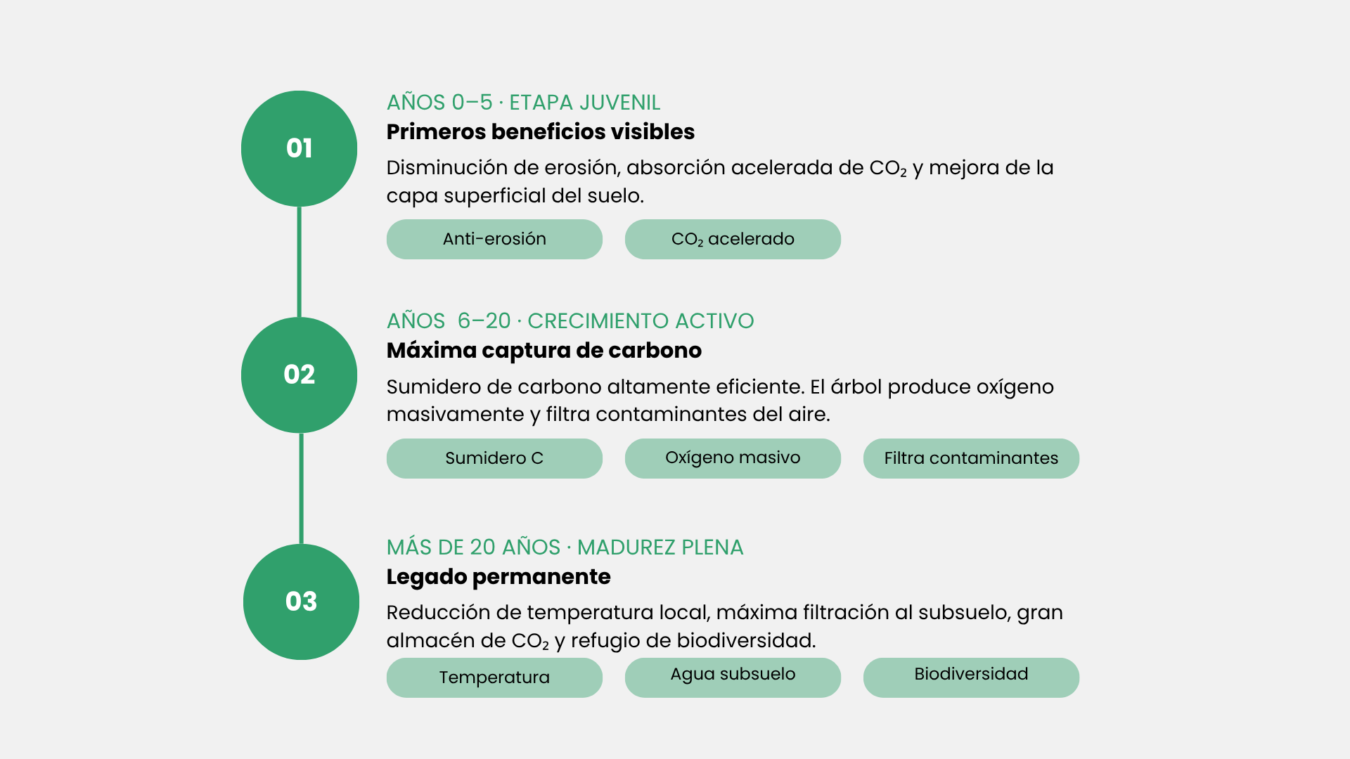 Infografía en español con tres pasos numerados en verde y un breve texto sobre mensajes web sobre un fondo blanco.