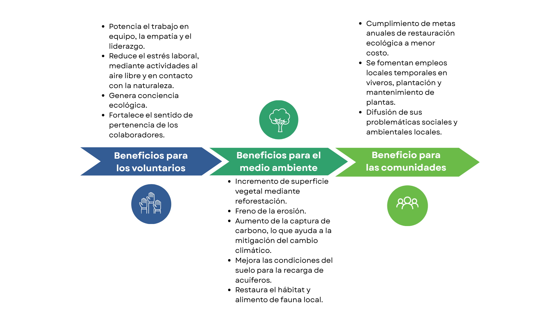 Infografía cronológica con flechas azules, turquesas y verdes que muestran tres pasos y viñetas arriba y abajo.
