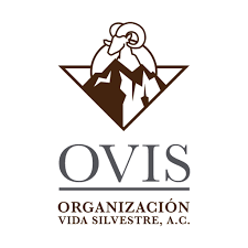 Logotipo de OVIS Organización Vida Silvestre, AC, con un carnero estilizado sobre montañas.