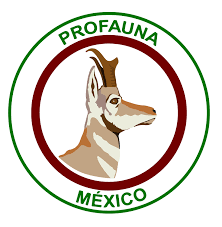 Logotipo de PROFAUNA México con un perro estilizado en un emblema circular verde y granate.