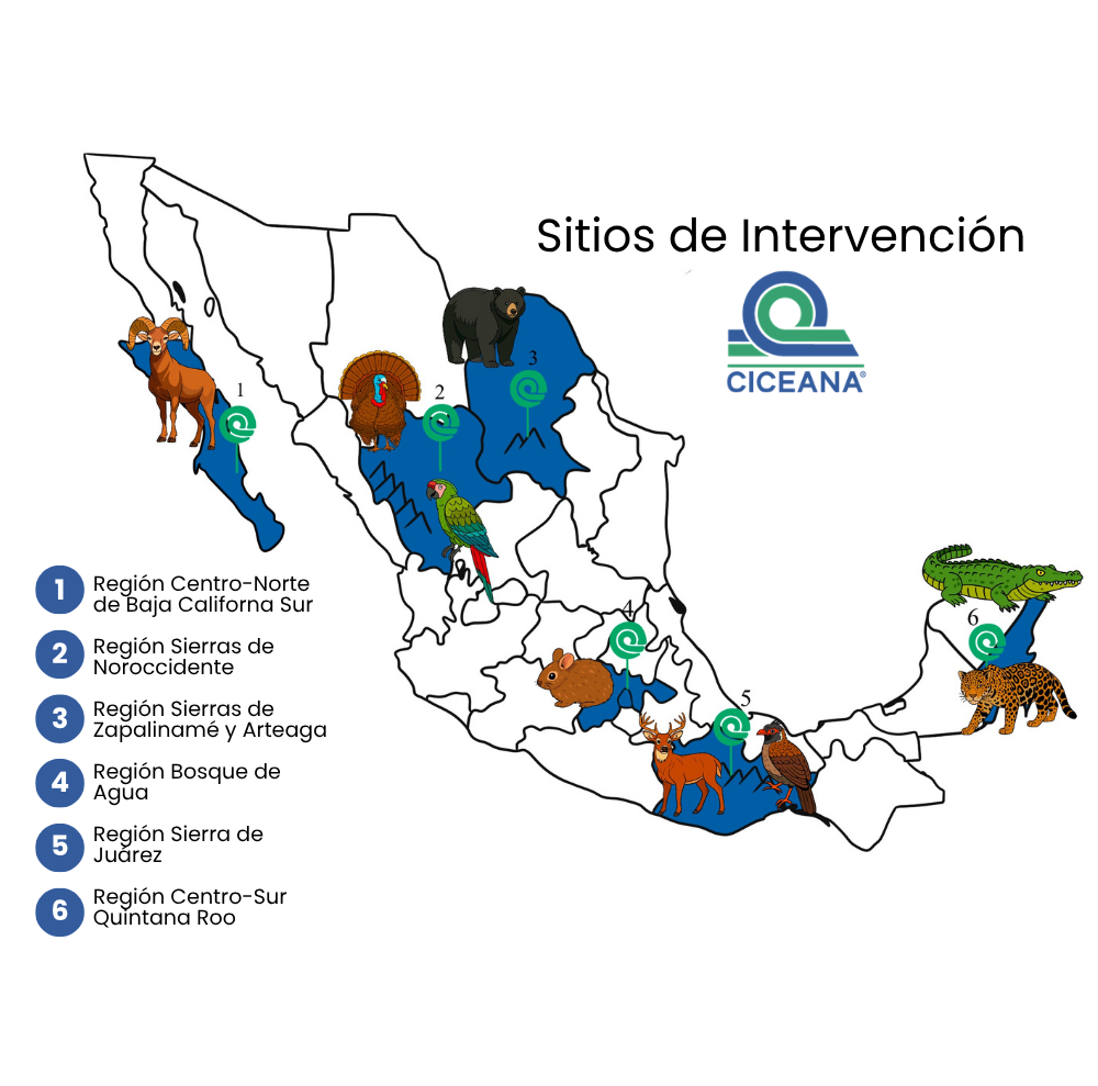 Mapa de México con sitios de intervención marcados en azul, verde y naranja para CICEANA.