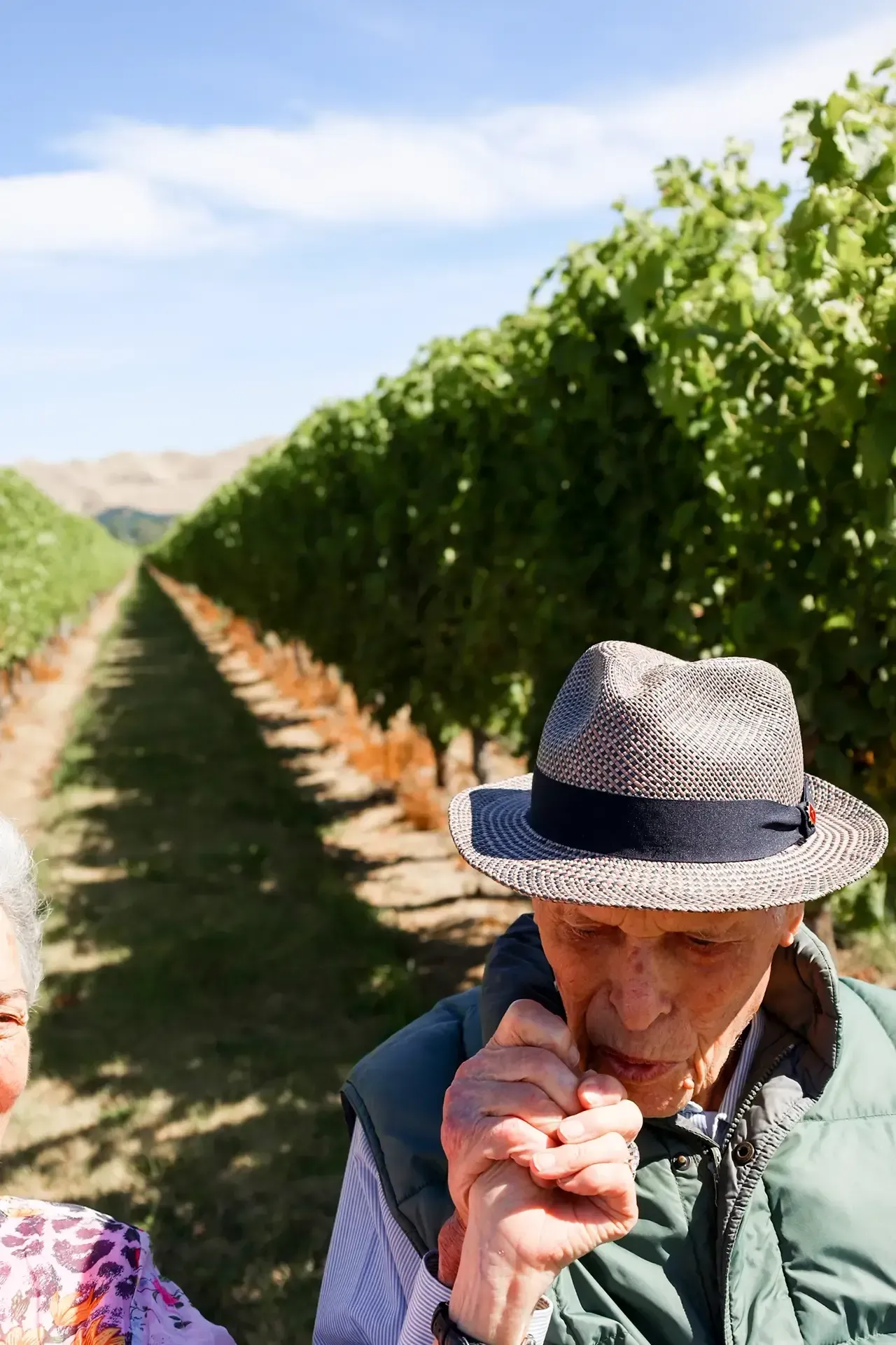 JFE sauvignon blanc