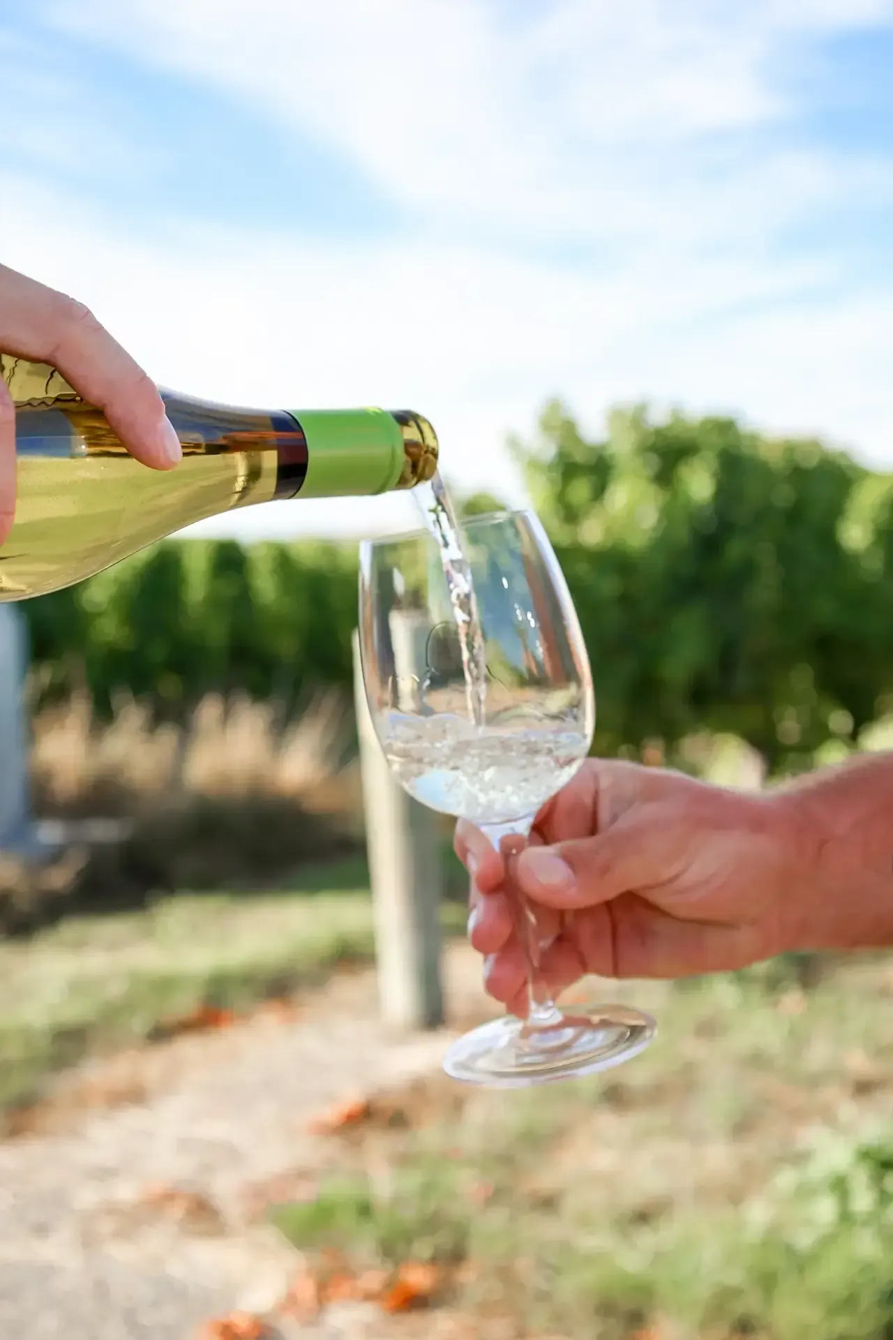 JFE Marlborough Sauvignon Blanc