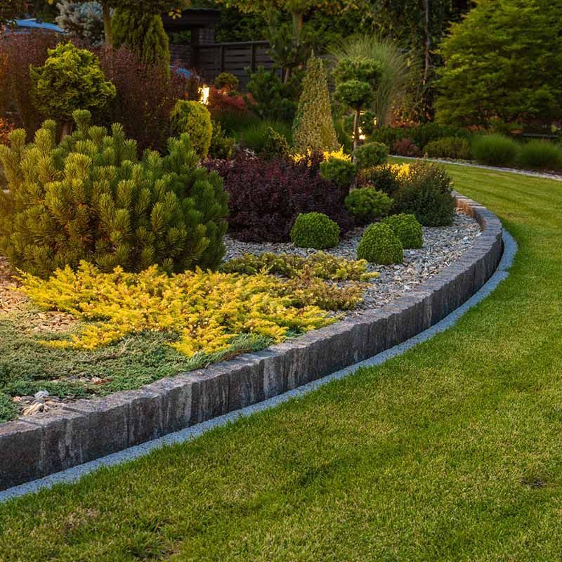 Curved garden bed with yellow flowers, shrubs, and stone edging beside a green lawn