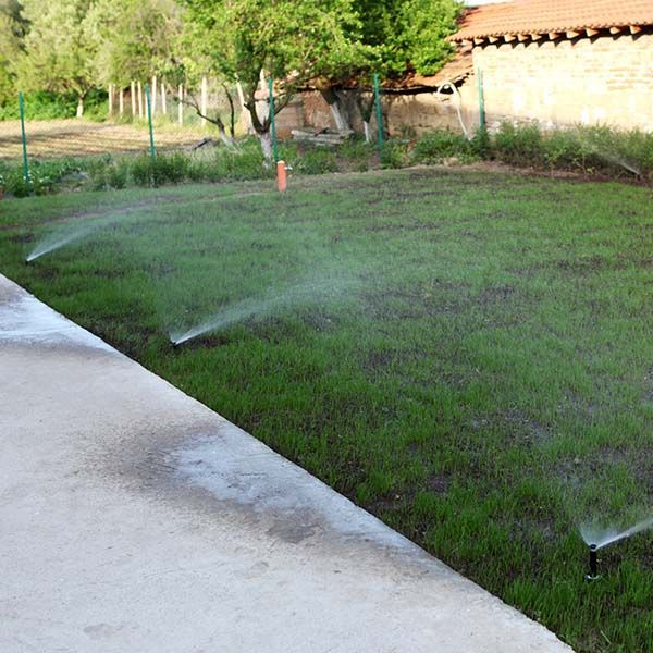 Sprinklers watering a green lawn beside a concrete path and house