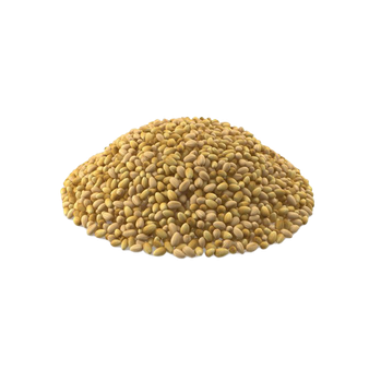 un mucchio di fagioli gialli su sfondo bianco
