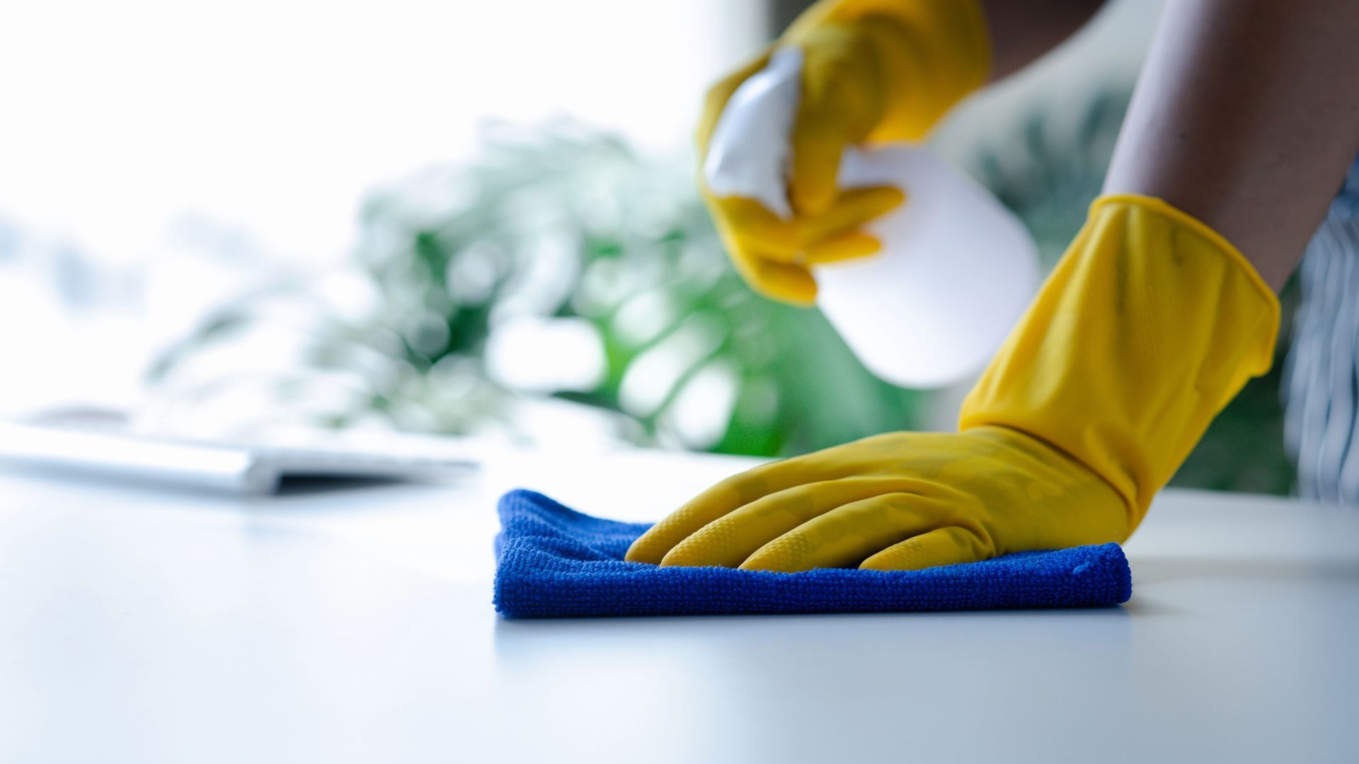 Gloved hands wiping a white countertop with a blue cloth