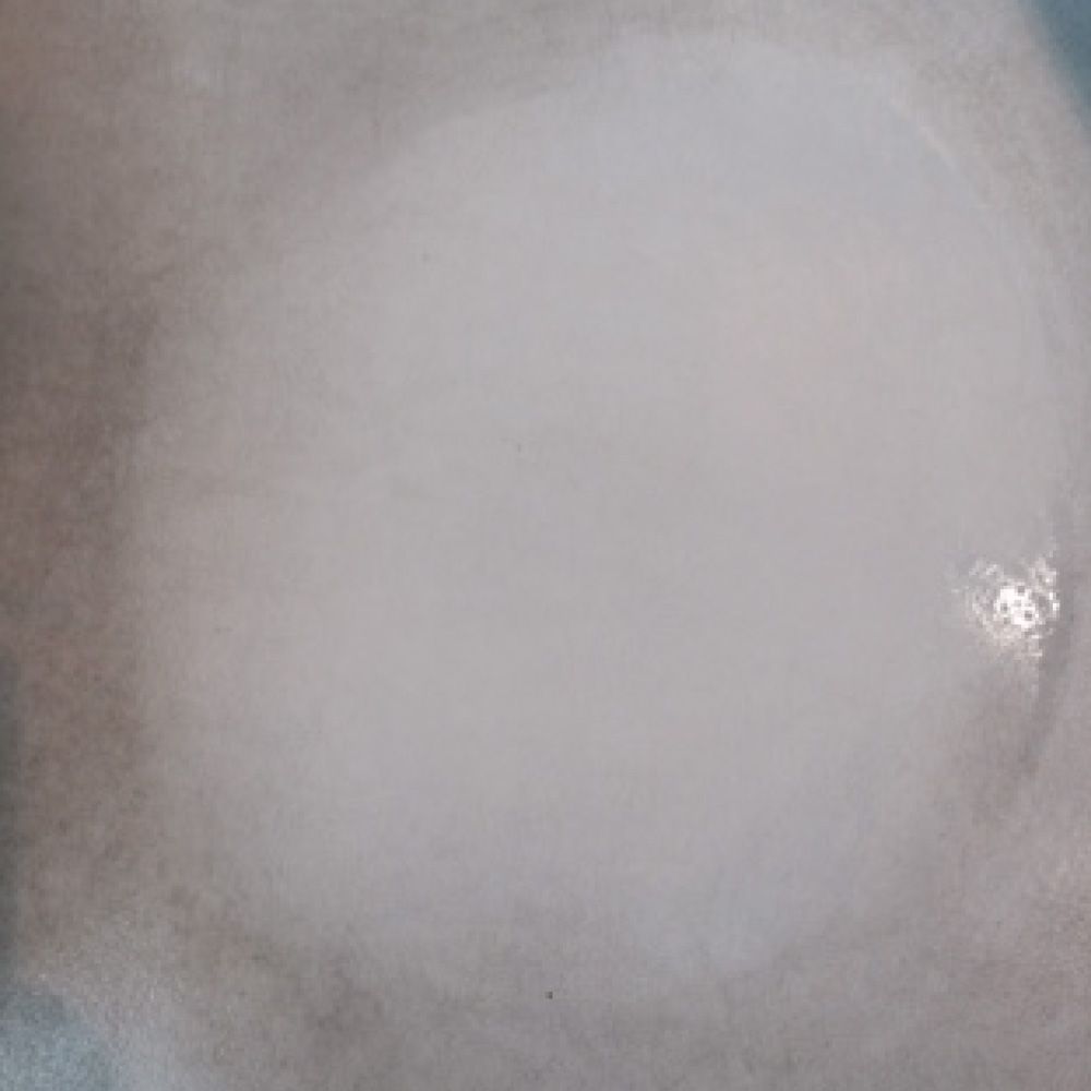 A close up of a white plate with a circle in the middle.