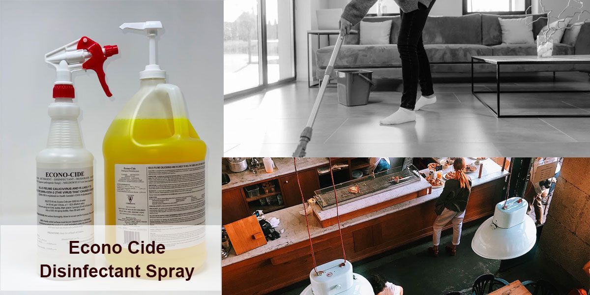 A woman is mopping the floor in a living room next to a bottle of econo cide disinfectant spray.