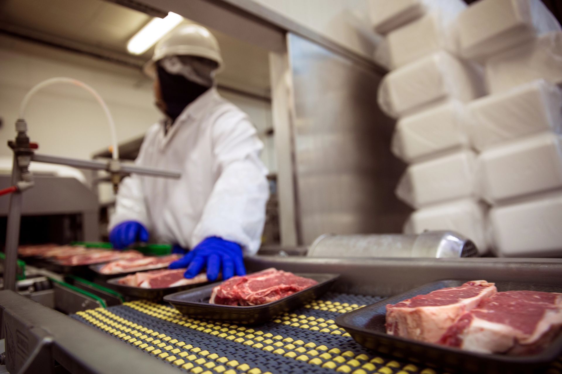 Worker in white protective gear and blue gloves handling raw meat on a processing line