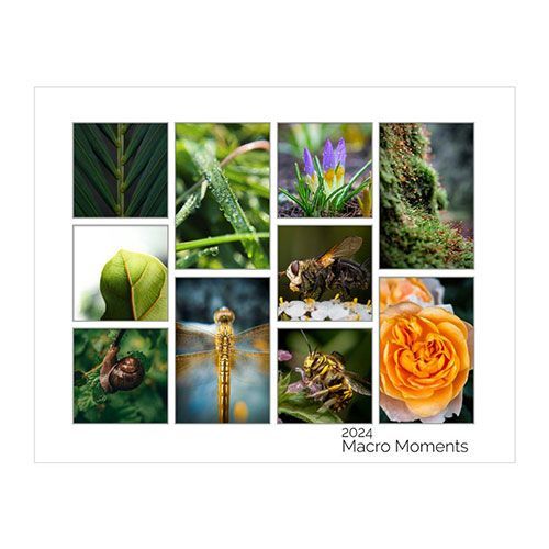 Posters & Collages image