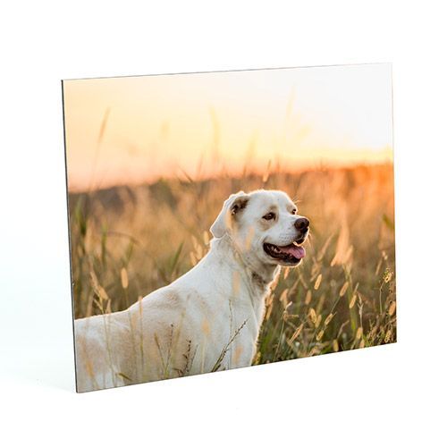 Presentation Prints image