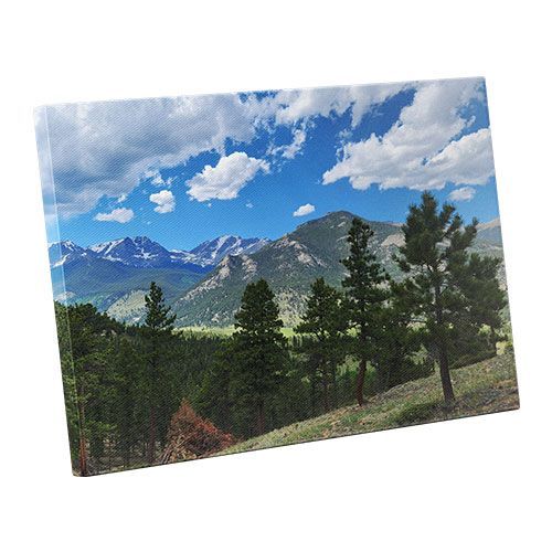 Canvas Prints image
