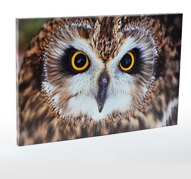 Canvas Prints > image
